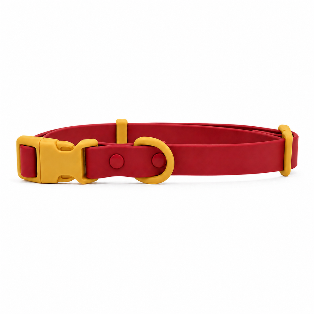 Solare Flare Collar