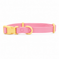 Flamingo Sun Collar