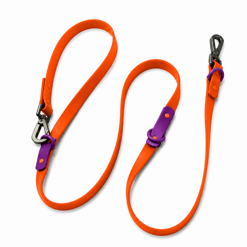 Amber Pulse Leash