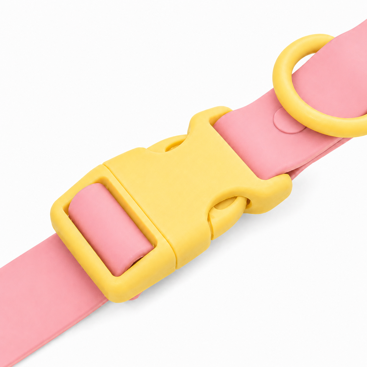 Flamingo Sun Collar
